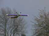 Madness Bild 12